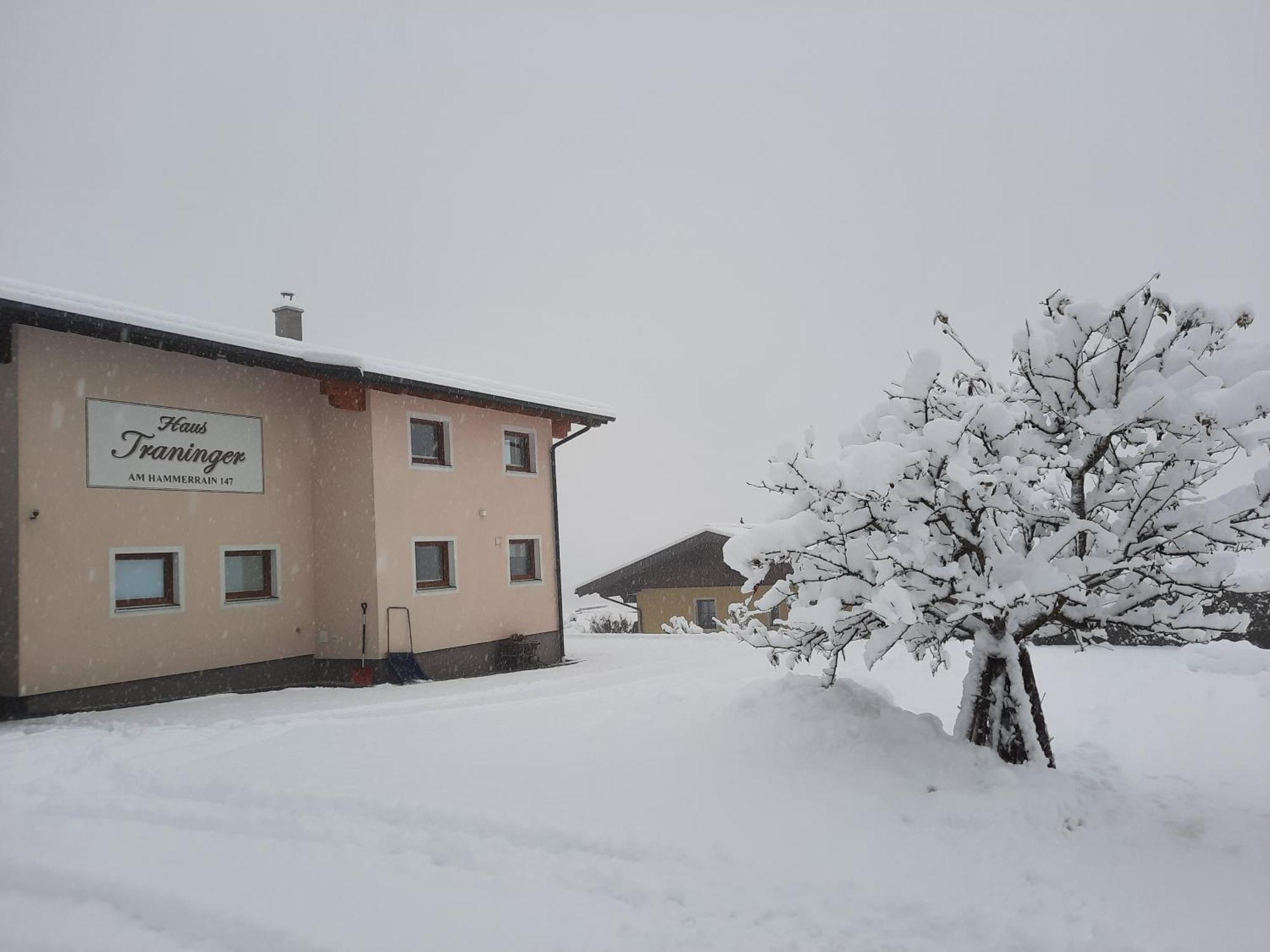 Appartamento Haus Traninger Flachau Esterno foto